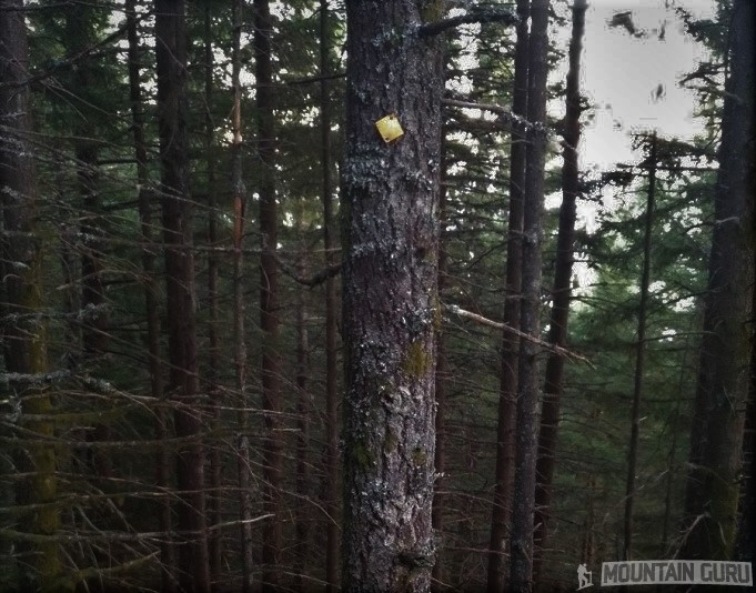 The Yellow Trail Marker