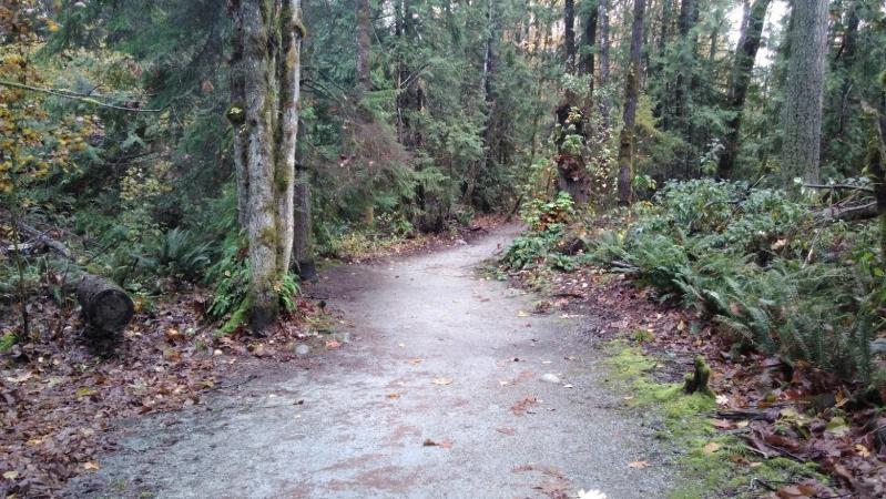 The Coquitlam River trail
