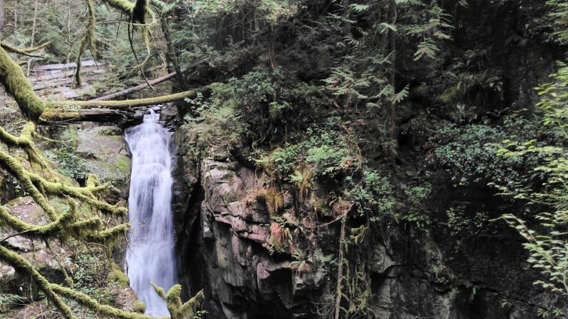 Lower Cypress Falls